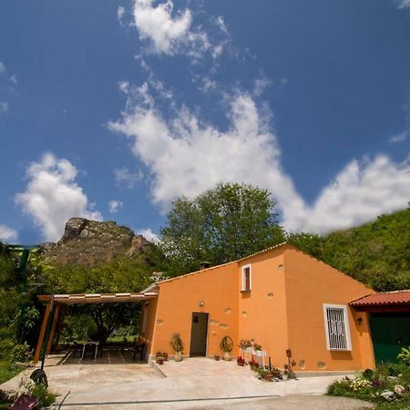 B&B Casa Vacanze Benvenuti Al Sud Aiello Calabro Exterior photo